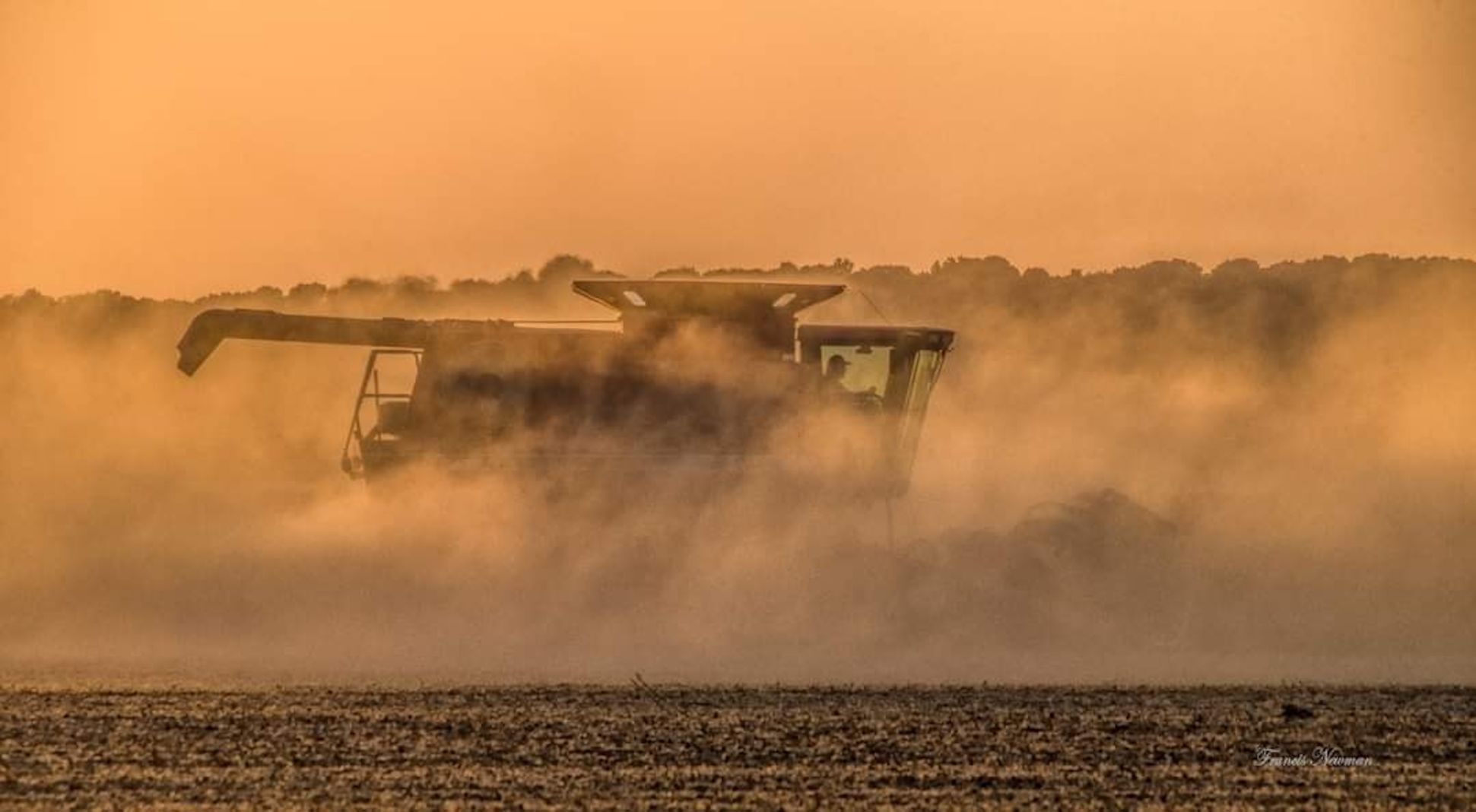 Harvest time